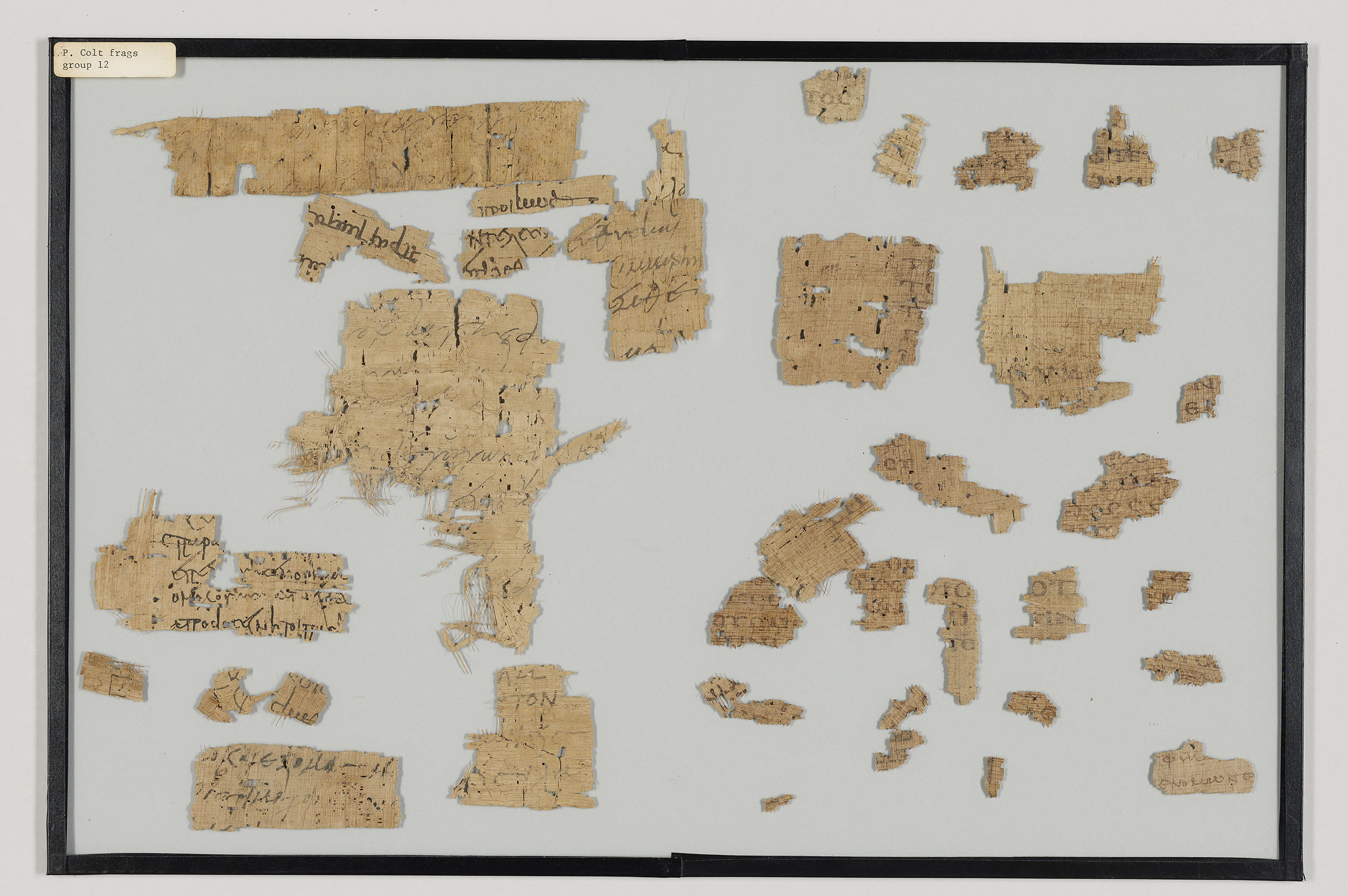 Characteristically small fragments of papyrus.